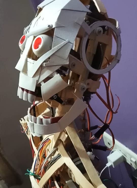 Moving Head & Eyes Robot